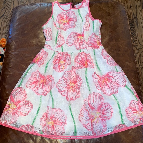 Lilly Pulitzer Dress - Picture 1 of 5